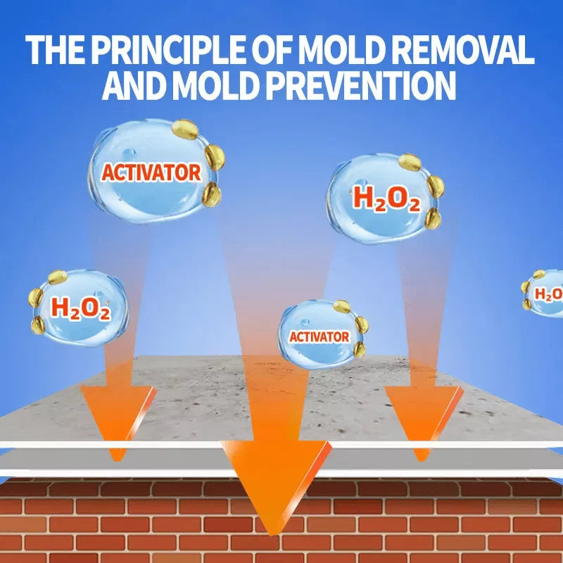 ⏰Highly Effective Mould Removal Spray - Prevents Mould Regrowth