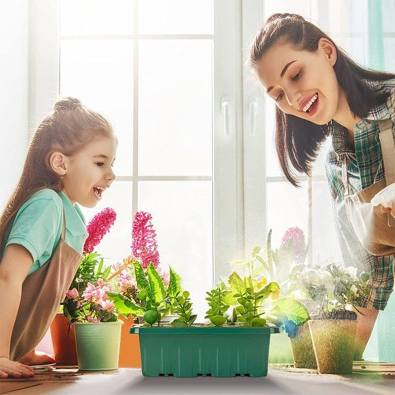 ⏰Limited offer 50% Discount🔥Seed Starter Trays with Grow Light
