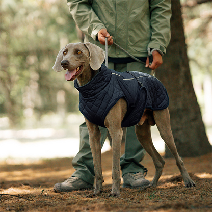 🔥Christmas Limited-Time Offer: 50% OFF!!!🔥Outdoor Reflective Dog Jacket