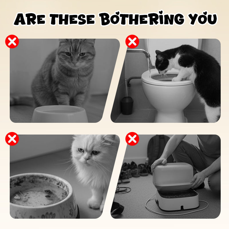 Wall-Mounted Toilet-Shaped Cat Bowl
