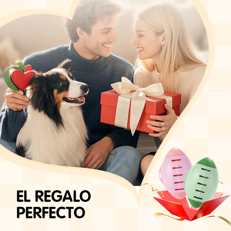 Portable and Washable Lint Roller with Cover