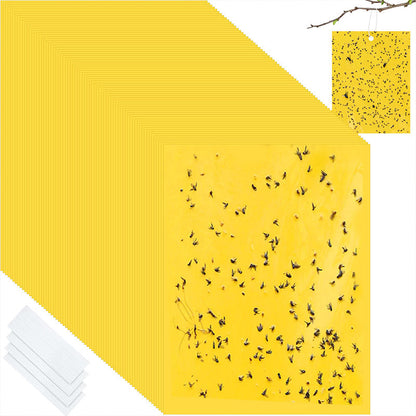 🐞 Super-Sticky Double-Sided Insect Traps  – Keep Your Garden Pest-Free, Rain Or Shine🌿